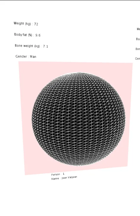 projet Data Variables for Physicalization